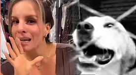 ¡NO SE QUEDA CALLADA! Alejandra Baigorria SE PRONUNCIA tras denuncia por ABANDONO de MASCOTAS en albergue: “Yo no tengo...”