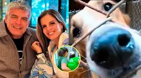 ¡NO SE APARECIÓ! Papá de Alejandra Baigorria FALTÓ a cita con animalistas y luego tomó INESPERADA decisión