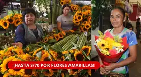 ¡HASTA S/70! Flores amarillas suben de precio en Lima. ¡HASTA S/70! Flores amarillas suben de precio en Lima.