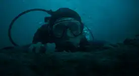"La caída de la ballena" lanza nuevo tráiler "La caída de la ballena" lanza nuevo tráiler