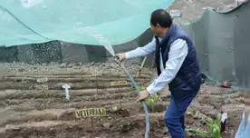 En 2004 el ingeniero Abel Cruz comenzó a promover el uso de atrapanieblas en Lima.