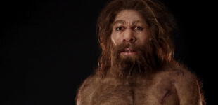 Estudio revela sexo constante entre Homo sapiens y neandertales