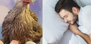 ¿Qué significa soñar con huevos de gallina? ¿Cómo lo interpreto?