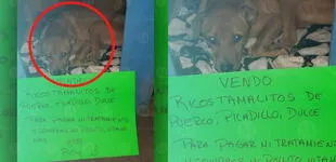 La tierna fotografía de un perrito que vende tamales para pagar sus tratamientos conmueve a todos [FOTO]