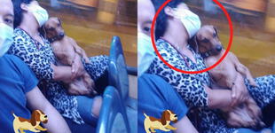 La foto de una señora durmiendo con su perro en brazos en una combi se viraliza: "Las croquetas están caras" [FOTO]