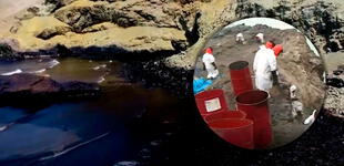 Derrame de petróleo en Ventanilla: eliminar el crudo de las playas demoraría unos 15 años