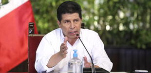 Pedro Castillo pide al Congreso autorizar viaje a Brasil para reunirse con Jair Bolsonaro el 3 de febrero
