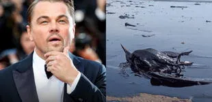 Leonardo DiCaprio sobre el derrame de petróleo en Ventanilla: "Se contaminó la costa y dos playas"