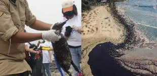 Derrame de petróleo en Ventanilla: convocan a una movilización nacional por el desastre ambiental