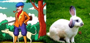 Acertijo visual: ¿Podrás encontrar al conejo en menos de 10 segundos?