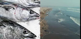 Ministerio de la Producción reitera que “es seguro consumir pescados y mariscos por estos días”