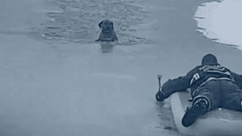 Bombero expone su vida para rescatar a un perro atrapado en un lago helado