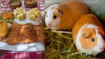 Cuy peruano: el superalimento andino que conquista mesas y fortalece la salud de los peruanos