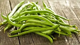 Vainita