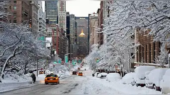 Heladas anticipadas congelan Nueva York: el otoño se despide con sensación invernal extrema