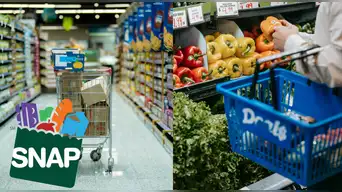 Gobierno ajusta SNAP: los requisitos que todos los solicitantes deberán cumplir desde este año.