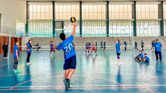 Los Olivos: lanzan cursos y talleres de verano con vacantes limitadas y precios accesibles