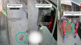 Camión de basura pasa por encima de perrito cojito y lo lanzan como si nada a la trituradora en SJL