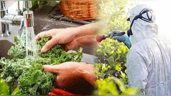 pesticidas en frutas y verduras