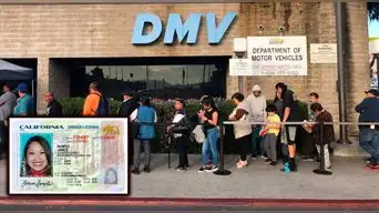 INMIGRANTES EXPUESTOS | ¿Qué hacer si fuiste afectado por el ERROR del MDV y te obligan a actualizar tu Real ID?