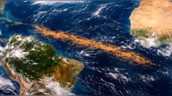 Una misteriosa mancha marrón apareció en el océano Atlántico entre América y África: esta es la explicación