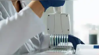 Alerta migratoria | Estados Unidos conservará el ADN de quienes entren al país sin visa