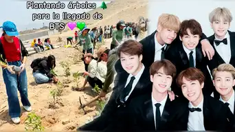 Fans de BTS plantan árboles por su llegada: cuál es el origen de esta iniciativa