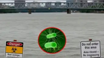 Washington aguas residuales