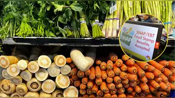 SNAP en Ohio cambia desde hoy: requisitos actualizados que pueden afectar tu beneficio