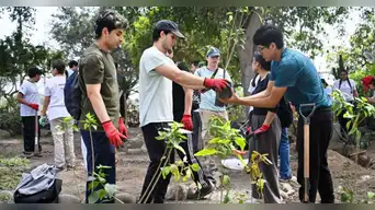 Perú va por un récord ecológico: plantará 2,5 millones de árboles en la primera mitad de 2026