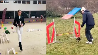 ¡NUEVO FENÓMENO social!: de los therians al 'HOBBY DOGGING', personas que pasean mascotas IMAGINARIAS o perros INVISIBLES