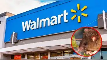 Horror en Walmart | Ordenan CERRAR supermercado tras encontrar roedores en los productos: No confirman fecha de reapertura