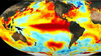 ¿Habrá Niño Global? NOAA de EE. UU. revela inquietante pronóstico para los próximos meses