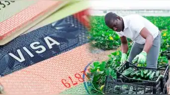 La medida de Trump que CELEBRAN LOS MIGRANTES: Este es el GRAN CAMBIO que tendrá la visa H-2A