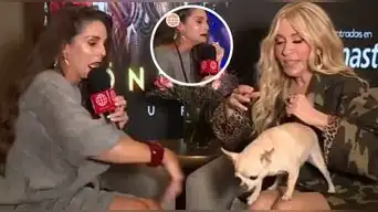 Rebeca Escribens pasa el susto de su vida cuando perro de Yuri casi la MUERDE en plena entrevista: "Ay, Santo Cristo"