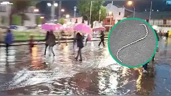 Alerta sanitaria | Extraña enfermedad avanza en PERÚ tras intensas lluvias y Minsa advierte a ciudadanos: muertos y casi 100 casos