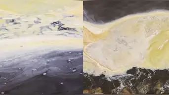 Alerta marítima en el Callao | IMARPE reporta floraciones algales NOCIVAS en la costa: ¿de qué trata este fenómeno?