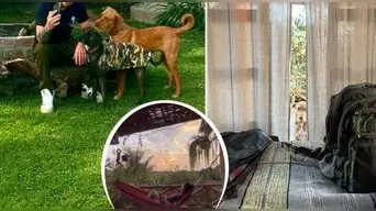 Reconocido expresentador peruano abandona todo y vive alejado del mundo: conversa solo con sus 4 perros