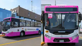 Presentan nueva flota del CORREDOR ROSADO: conoce la ruta que conecta Lima y Callao y el inicio de sus operaciones