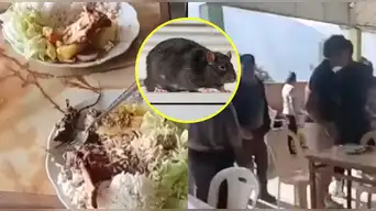 INDIGNACIÓN TOTAL | Turistas denuncian que les sirvieron rata en lugar de cuy: clientes salen despavoridos