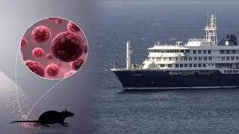 Qué es el hantavirus, cuáles son sus síntomas y cómo se contagia el virus que ya dejó tres muertos en crucero que partió de Argentina