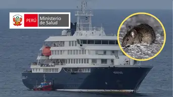 ÚLTIMO | Minsa informa sobre presencia de posibles pasajeros peruanos en crucero con brote de hantavirus: esto se sabe