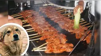 Niña encuentra chip de mascotas cuando comía anticuchos en la calle: "Cuida a tus mascotas"