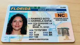 ALERTA MÁXIMA INMIGRANTES | Gobierno de EE.UU. revisará auto por auto para conocer a todas las personas que no son ciudadanos legales