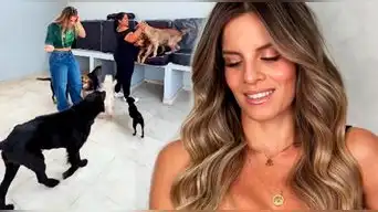 Alejandra Baigorria sorprende al mostrar el ALBERGUE para ANIMALES que ayudó a reconstruir: "Nos tomó mucho tiempo"