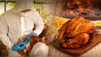 ¿Peligra el Día del Pollo a la Brasa? Infectólogo aclara si existe RIESGO DE CONTAGIO por gripe aviar