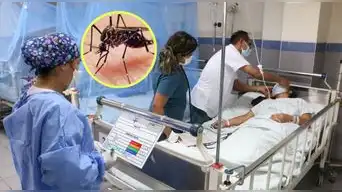 ¡Alerta por el DENGUE en Perú! Casos aumentan y El Niño podría agravar los contagios