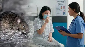 ALERTA SANITARIA | Chile activa protocolos de bioseguridad tras 18 fallecidos por hantavirus: ¿existe riesgo para el Perú?