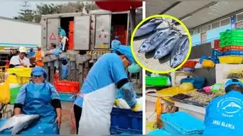 ¡Pescado más CARO! Oleaje anómalo golpea terminales de CHORRILLOS Y CALLAO