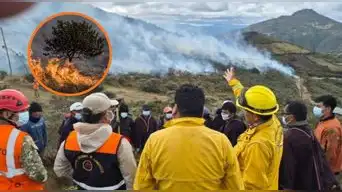 Incendios forestales: MINAM prepara PLAN URGENTE ante riesgo por El Niño